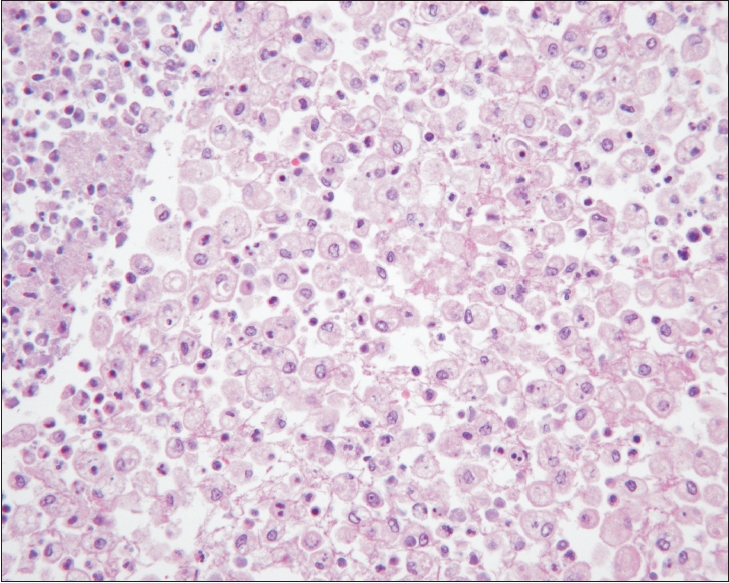 uti-2550026013f3.jpg