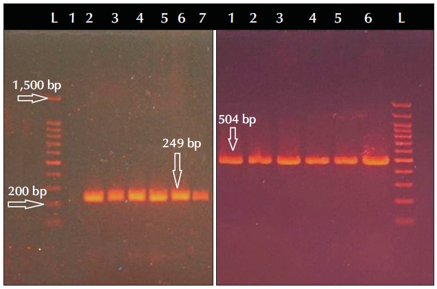 uti-2550050025f1.jpg
